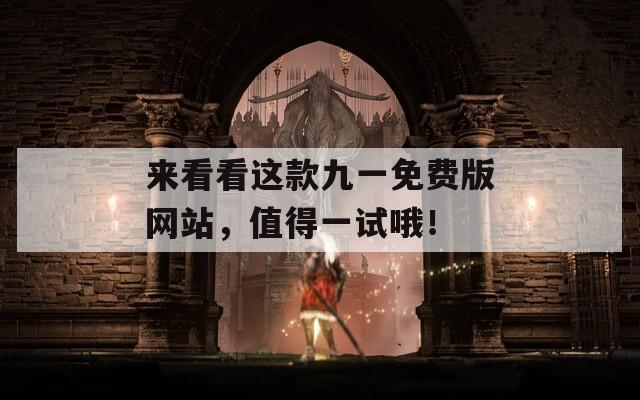来看看这款九一免费版网站，值得一试哦！