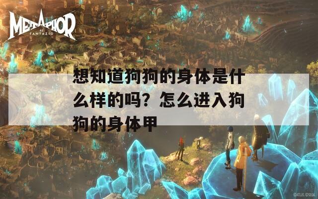 想知道狗狗的身体是什么样的吗？怎么进入狗狗的身体甲
