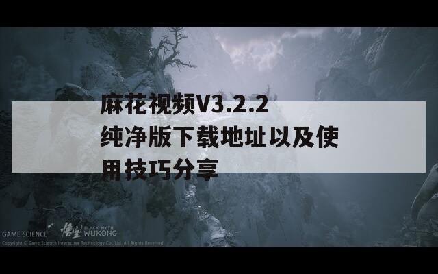 麻花视频V3.2.2纯净版下载地址以及使用技巧分享
