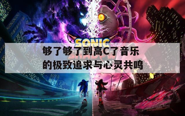 够了够了到高C了音乐的极致追求与心灵共鸣