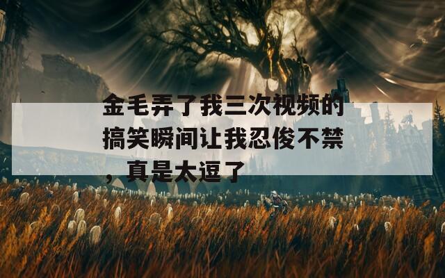 金毛弄了我三次视频的搞笑瞬间让我忍俊不禁，真是太逗了
