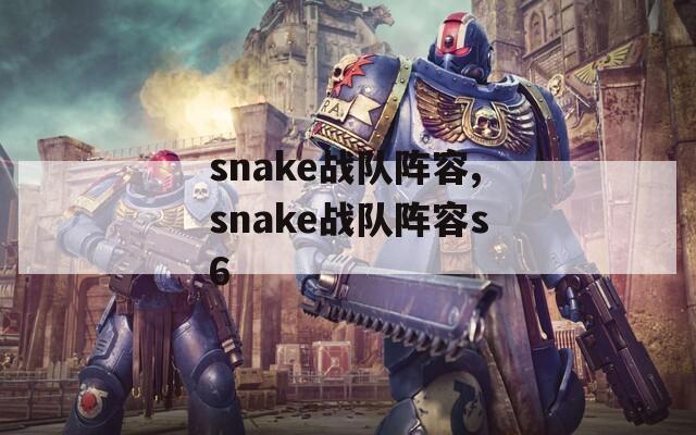 snake战队阵容,snake战队阵容s6