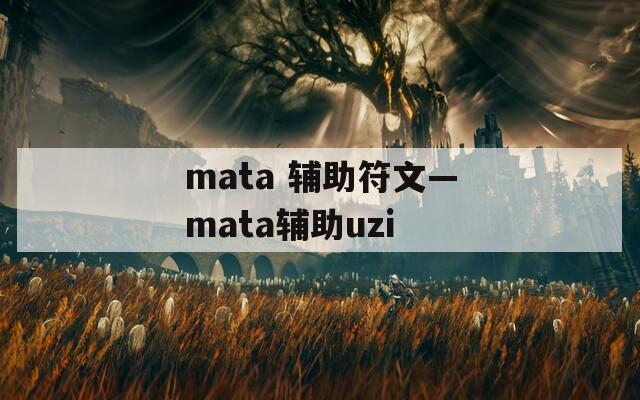 mata 辅助符文—mata辅助uzi