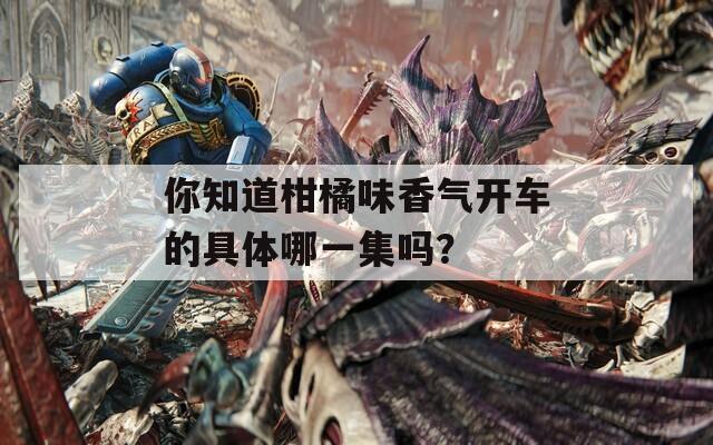 你知道柑橘味香气开车的具体哪一集吗？