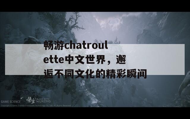 畅游chatroulette中文世界，邂逅不同文化的精彩瞬间