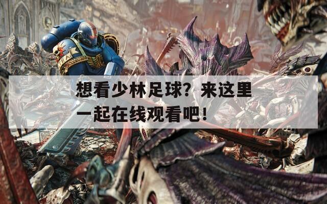想看少林足球？来这里一起在线观看吧！