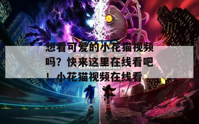 想看可爱的小花猫视频吗？快来这里在线看吧！小花猫视频在线看