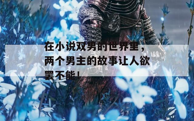 在小说双男的世界里，两个男主的故事让人欲罢不能！