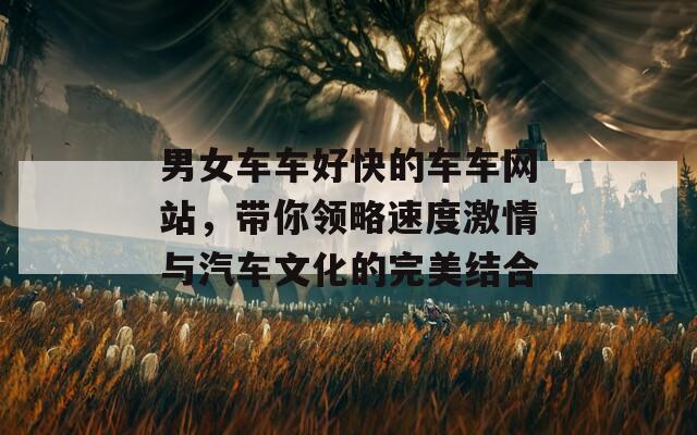 男女车车好快的车车网站，带你领略速度激情与汽车文化的完美结合