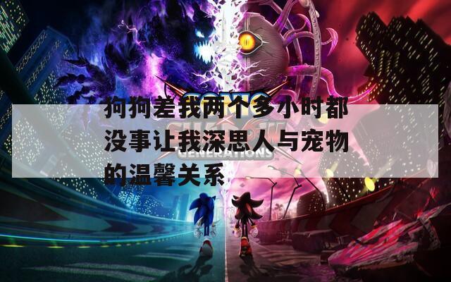 狗狗差我两个多小时都没事让我深思人与宠物的温馨关系