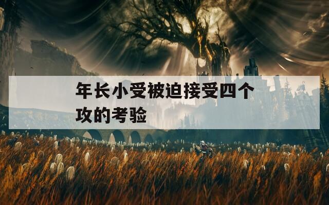 年长小受被迫接受四个攻的考验