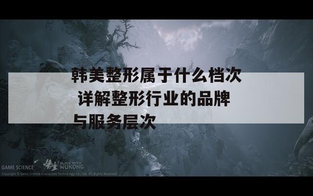 韩美整形属于什么档次 详解整形行业的品牌与服务层次