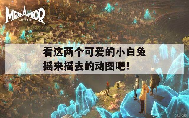 看这两个可爱的小白兔摇来摇去的动图吧！