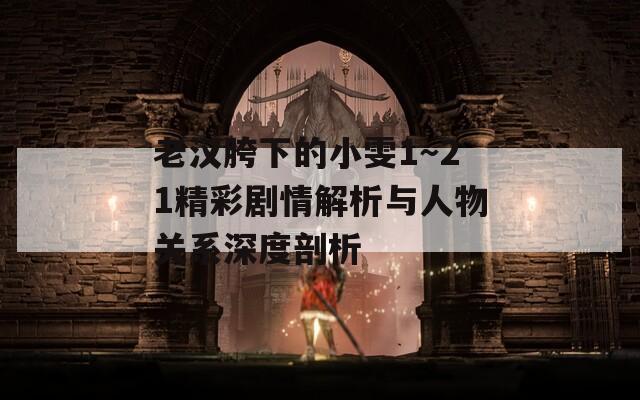 老汉胯下的小雯1～21精彩剧情解析与人物关系深度剖析