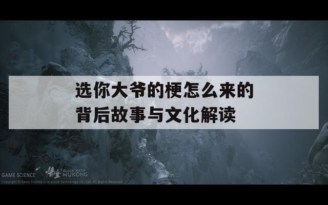 选你大爷的梗怎么来的背后故事与文化解读