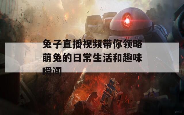 兔子直播视频带你领略萌兔的日常生活和趣味瞬间