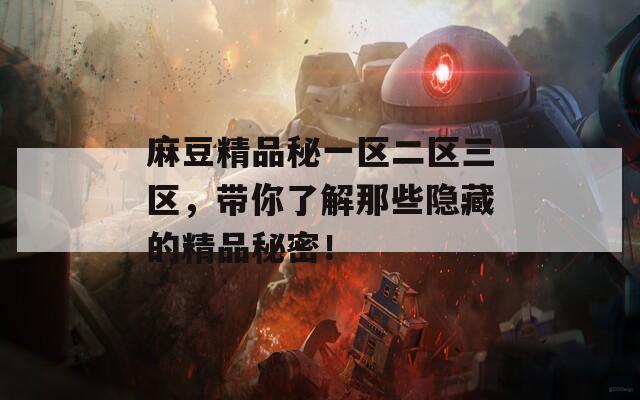 麻豆精品秘一区二区三区，带你了解那些隐藏的精品秘密！