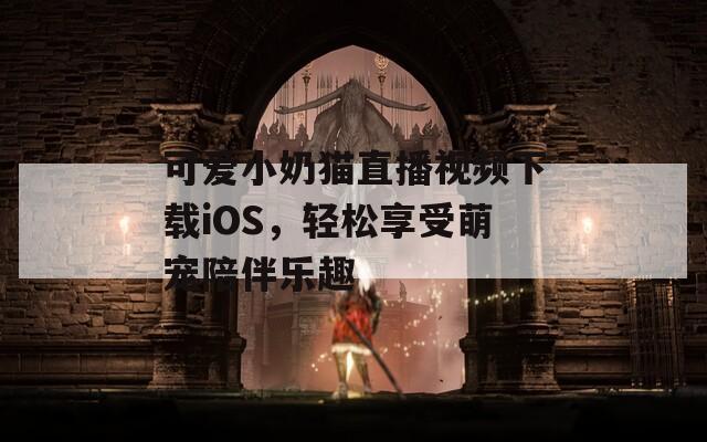 可爱小奶猫直播视频下载iOS，轻松享受萌宠陪伴乐趣