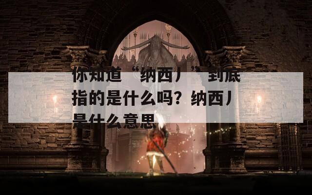 你知道“纳西丿”到底指的是什么吗？纳西丿是什么意思