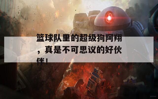 篮球队里的超级狗阿翔，真是不可思议的好伙伴！