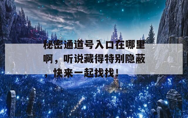 秘密通道号入口在哪里啊，听说藏得特别隐蔽，快来一起找找！