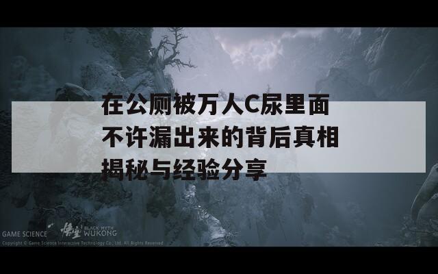 在公厕被万人C尿里面不许漏出来的背后真相揭秘与经验分享