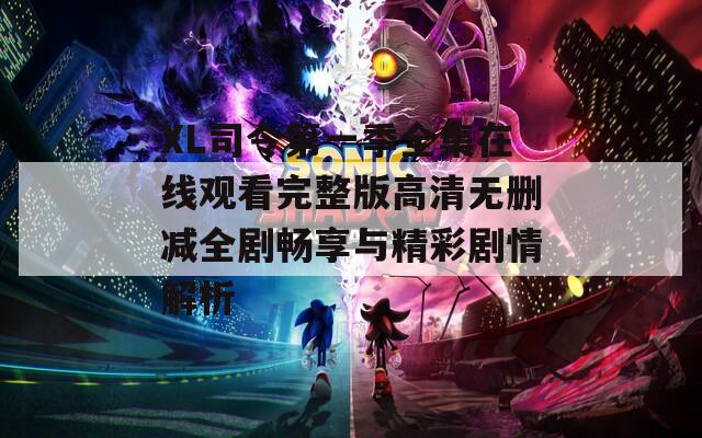 XL司令第一季全集在线观看完整版高清无删减全剧畅享与精彩剧情解析