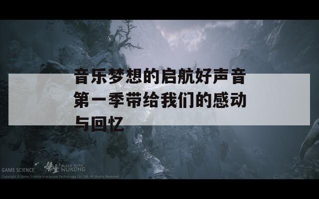 音乐梦想的启航好声音第一季带给我们的感动与回忆