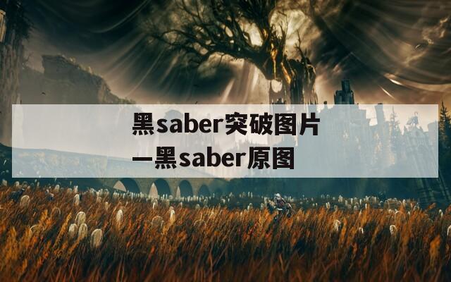 黑saber突破图片—黑saber原图